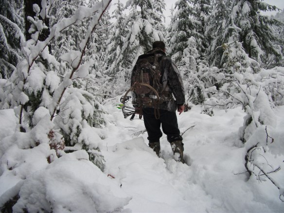 Following some fresh tracks