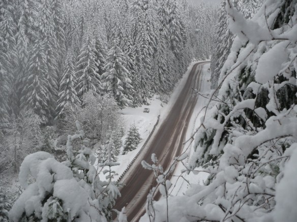 Headed back to the truck