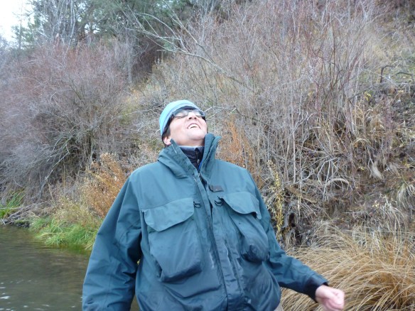 Russ  " I horsed 'em"