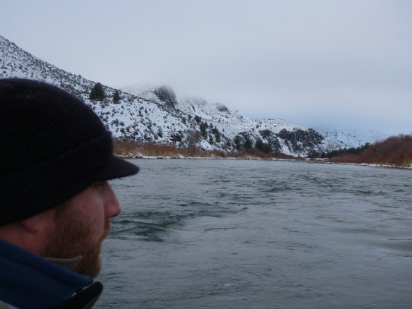 Searching for the next run