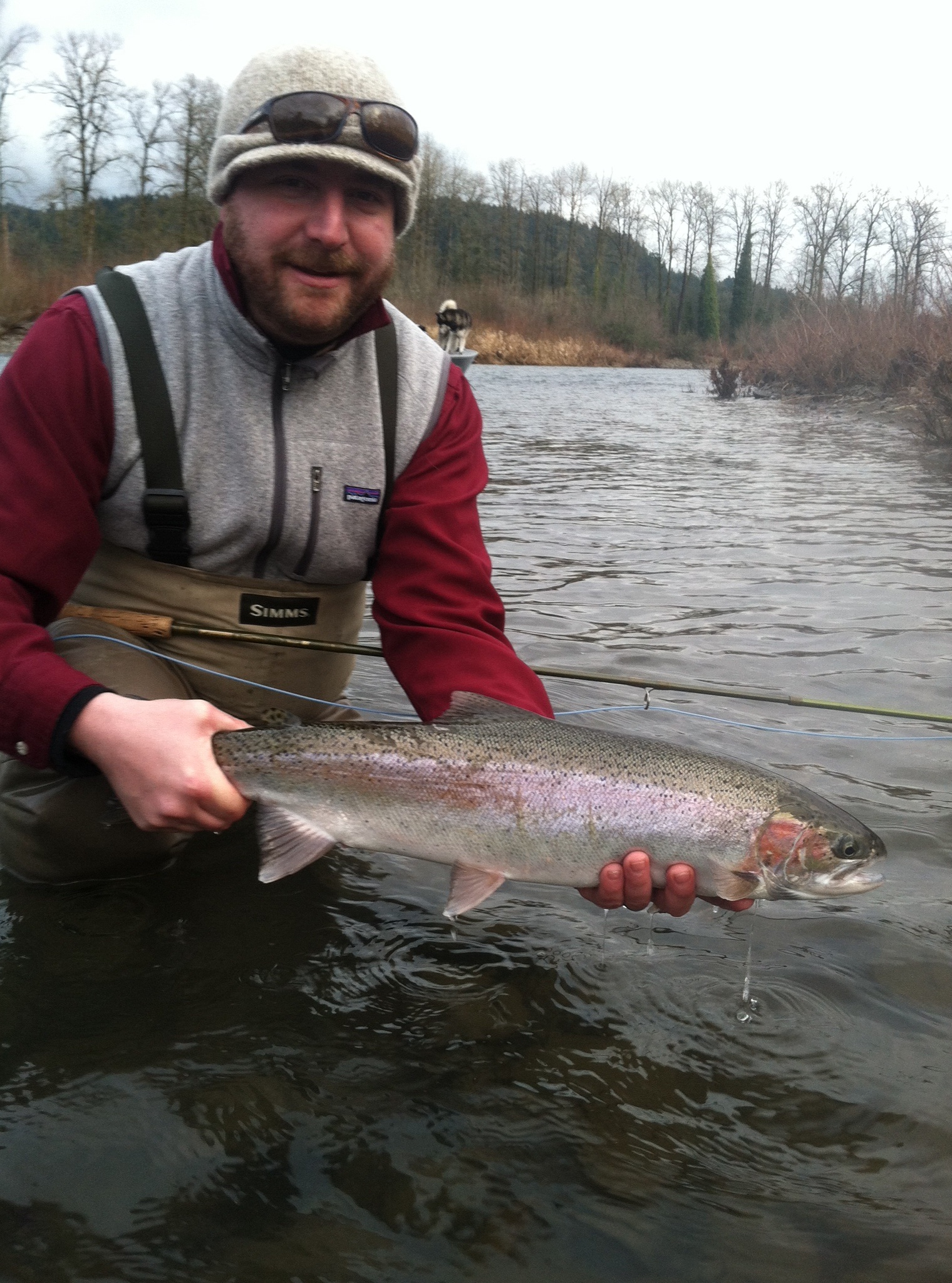 Winter steelhead, Oregon USA 2013