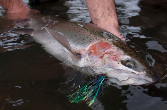 Oh my!  Thanks edhepp.com