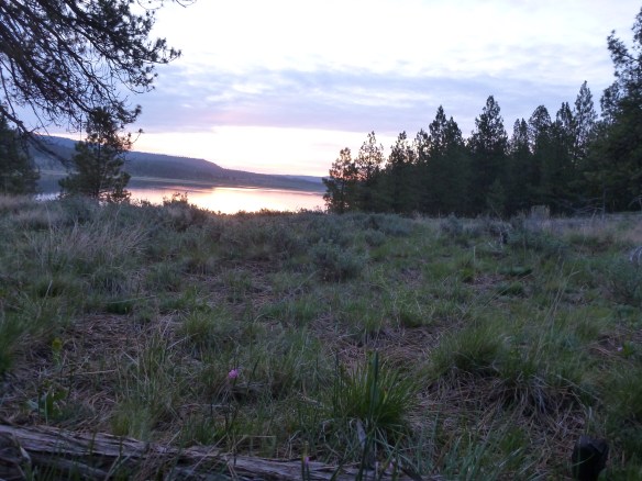 Sunrise at  plumpkin paradise