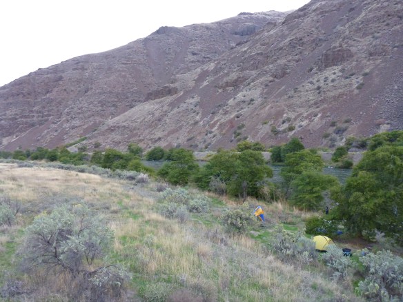 Glamping was around, but not here.  