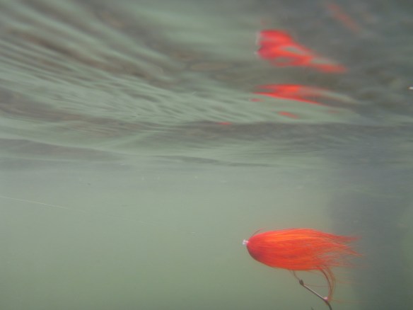 Reverse marabou tube Fished naked without a hook guide.  I dropped them in the river.  I was grabby on some T-11