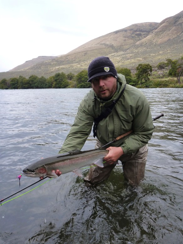 Wild self-guided steel