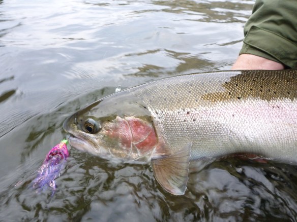 Standard flashy stuff