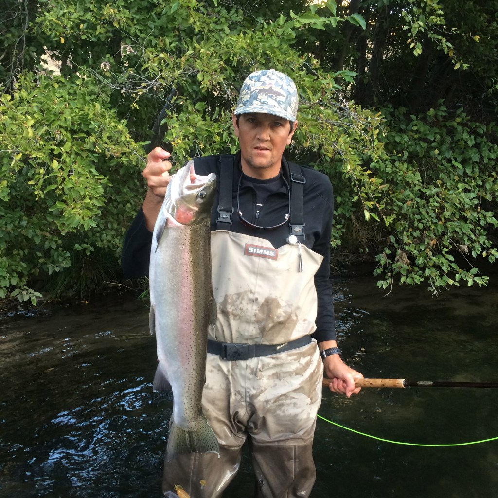 Speyed and neutered  Mitchell style.  